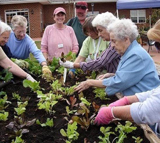 Gardening Services for Elderly