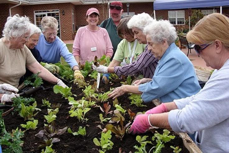 Gardening Services for Elderly